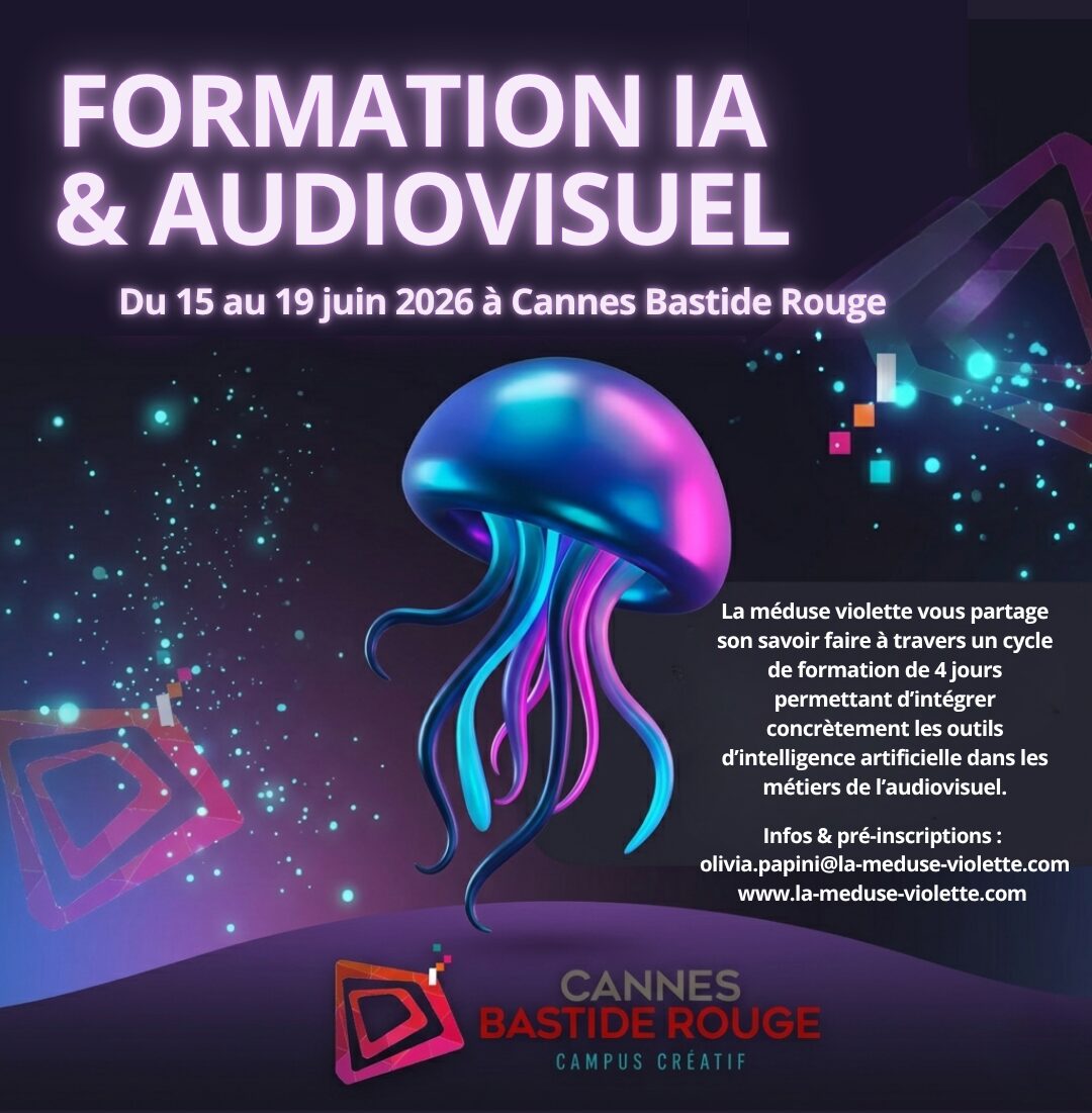 FORMATION IA AUDIOVISUEL (1)
